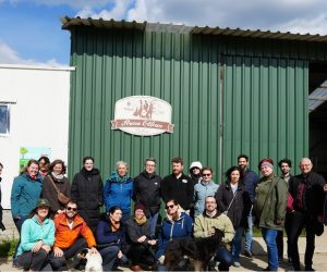 Fermele de produse ecologice din apropierea Brașovului demonstrează cum agricultura românească pune în practică soluțiile climatice