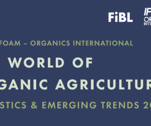 Piața globală a produselor bio a atins un nou record în 2024: 145 miliarde de euro. România, cea mai mare creștere din UE la importurile de produse bio: +244%