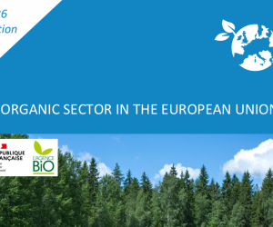 România exportă bio de 200 milioane euro, dar importă între 80% și 90% din produsele ecologice consumate, pe fondul procesării locale slabe