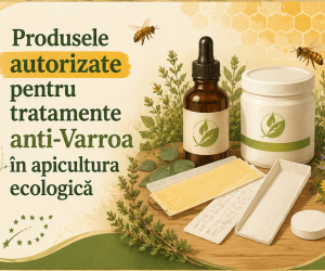 Produsele autorizate pentru tratamente anti-Varroa în apicultura ecologică