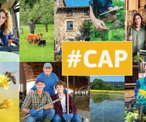Noua Politică Agricolă Comună: plăți mai atractive pentru ferme ecologice și soluri sănătoase