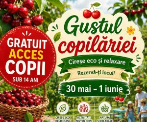 „Gustul copilăriei”, 30 mai – 1 iunie la cules de cireșe ecologice la Livada Bogland din Izvoarele, județul Giurgiu