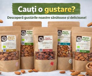 Migdale bio la Jurilovca: afacerea de familie care a transformat 8,4 hectare într-o livadă cu potențial de export