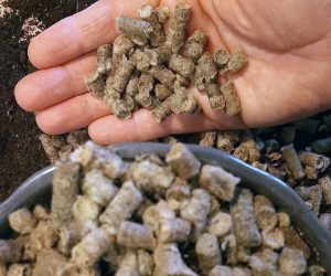 Investiția din Olt care poate schimba piața lânii: izolații, lanolină și fertilizant bio cu 10–12% azot