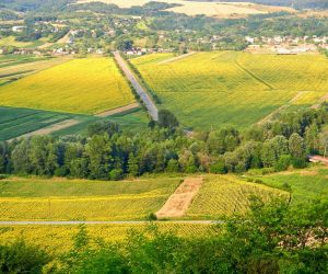 Noua Strategie pentru conservarea biodiversității: agricultura ecologică, parte esențială a tranziției până în 2030