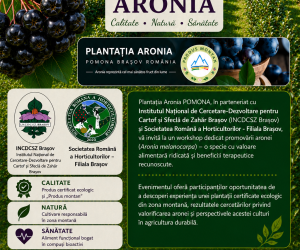Workshop și vizită în plantația ecologică de Aronia – POMONA Brașov