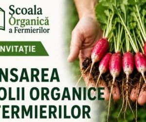 Republica Moldova lansează „Școala Organică a Fermierilor” — pentru a sprijini producătorii agricoli în tranziția către culturi ecologice