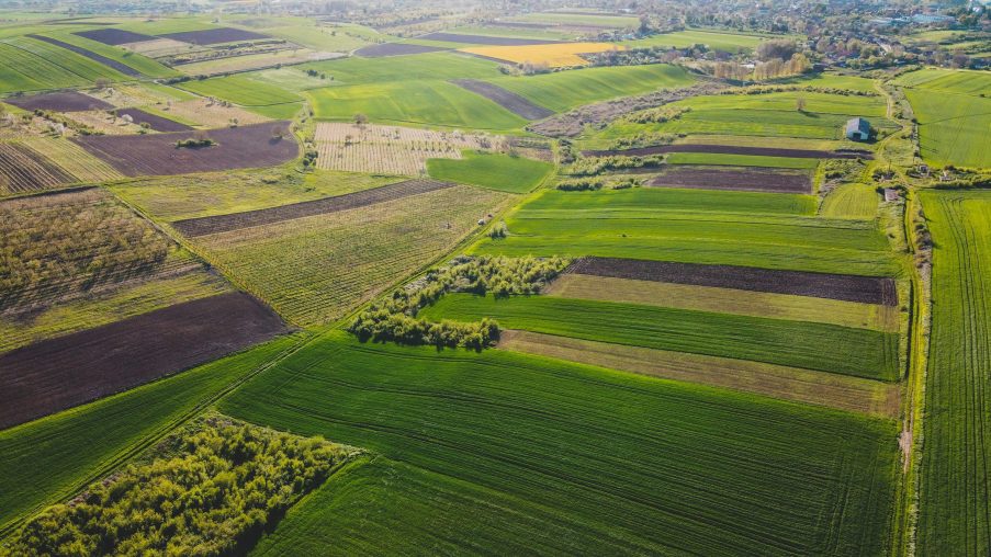 Terenuri agricole din România. Suprafața înregistrată în agricultura ecologică a ajuns la aproximativ 799.200 de hectare în 2025.